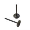 V-Twin Manufacturing Canada - Nitrate Intake Valves - 11-9087