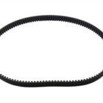 V-Twin Manufacturing Canada - 1-1/8  BDL Rear Belt 125 Tooth - 20-0456