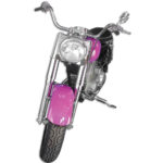 V-Twin Manufacturing Canada - Fork Assembly with Polished Sliders - 24-2019