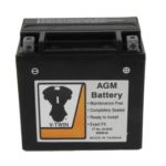 V-Twin Manufacturing Canada - AGM Dry Fully Sealed Black Battery - 53-0548